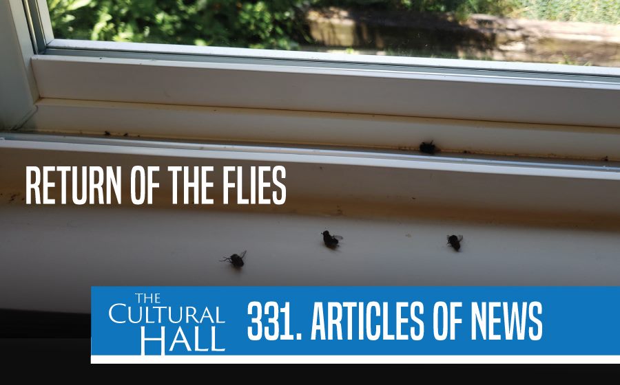 Return of the Flies Ep. 331 The Cultural Hall