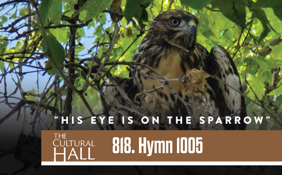 818 Hymn 1005 His Eye is on the Sparrow