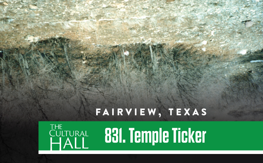 831 Temple Ticker Fairview Texas